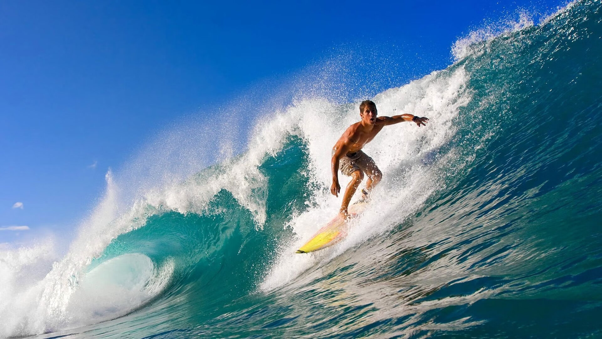 大坂直美连续五场比赛得分超过败北，雄鹿不断突破！全场沸腾不已(多哈世乒赛第五比赛日国乒迎5场对决)